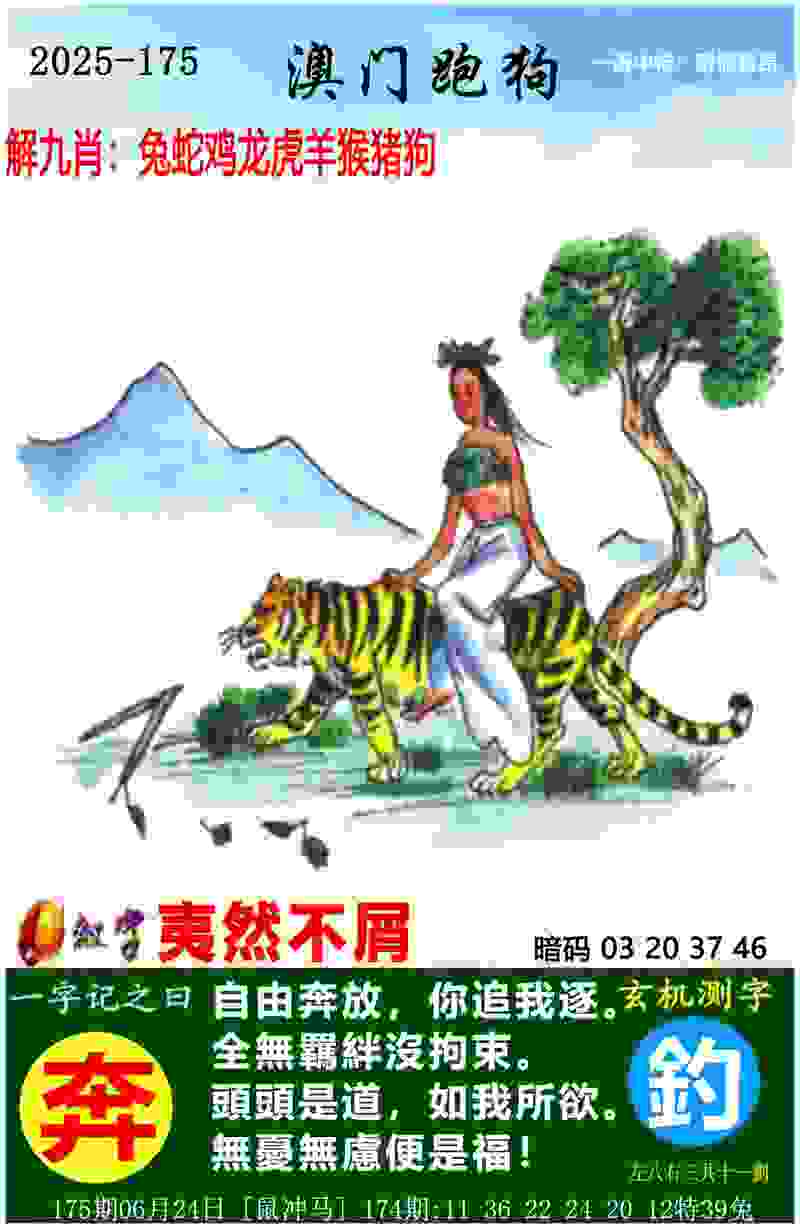 陈梦：最后一届奥运会非常圆满